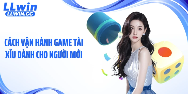 Cách vận hành game tài xỉu dành cho người mới