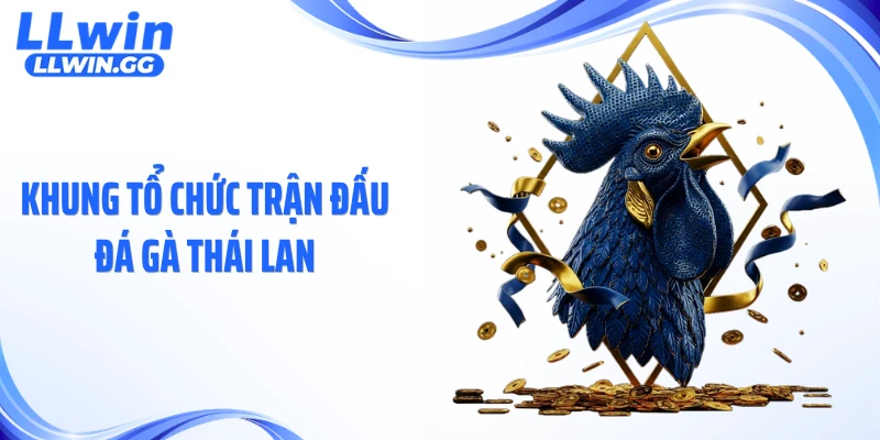 Khung tổ chức trận đấu đá gà Thái Lan